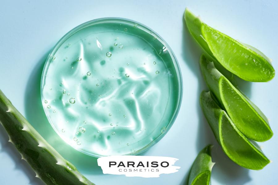 Aloe vera para calmar y reparar la piel tras la exposición solar