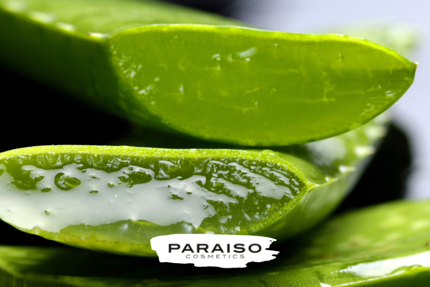 Beneficios del aloe vera para la piel