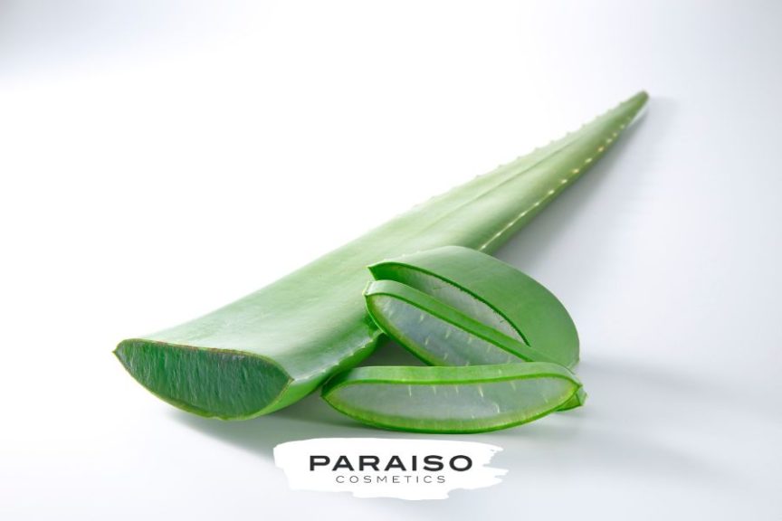 beneficios del aloe vera