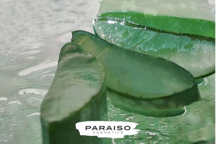 Conoce los mejores cosméticos con Aloe Vera para tu centro de estética